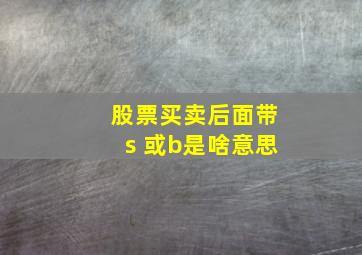 股票买卖后面带s 或b是啥意思